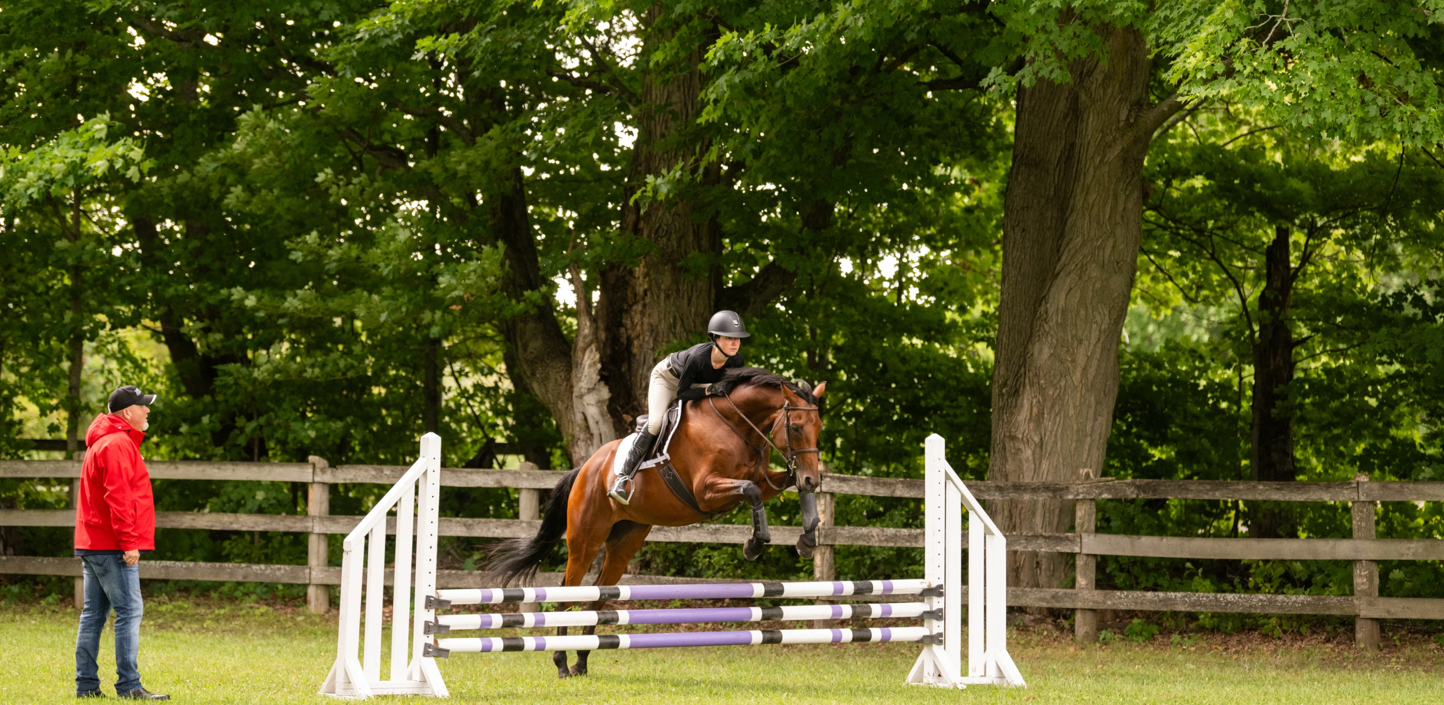 Competition Coach Specialist - English - Jumping